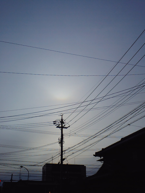 a0030713_2001056.jpg