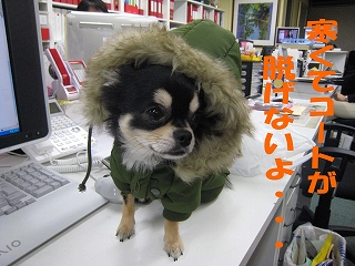f0149420_1741675.jpg