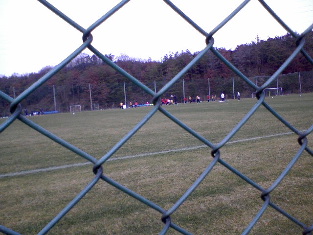 c0084024_947302.jpg