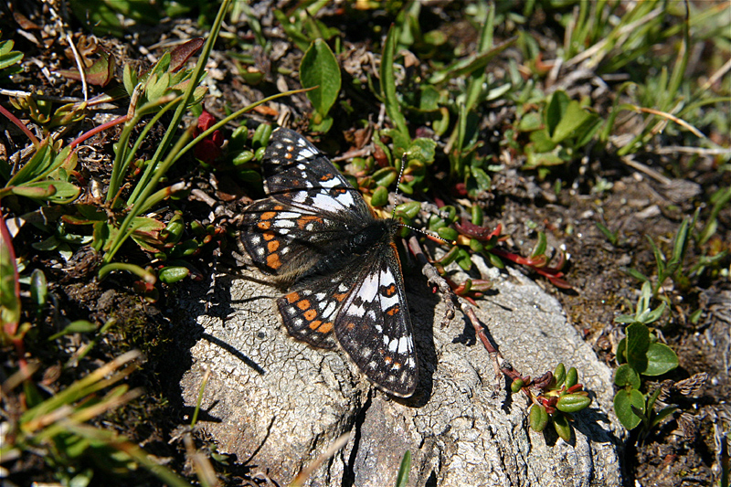 d0054625_22492656.jpg