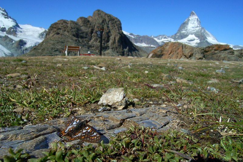 d0054625_22521846.jpg