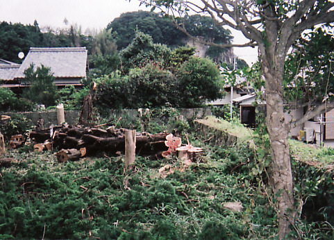 d0147727_91111.jpg