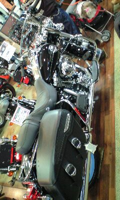 d0044736_1349829.jpg