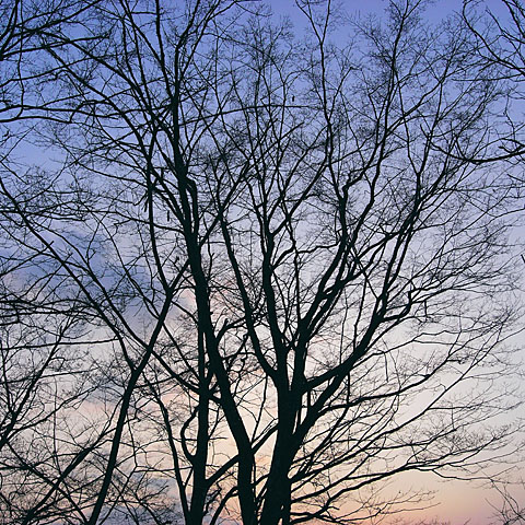 c0067040_22173858.jpg