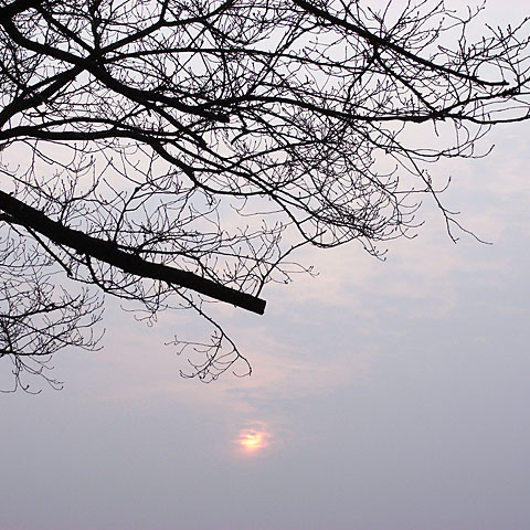 c0067040_2221817.jpg