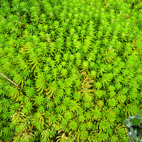 c0067040_2222934.jpg