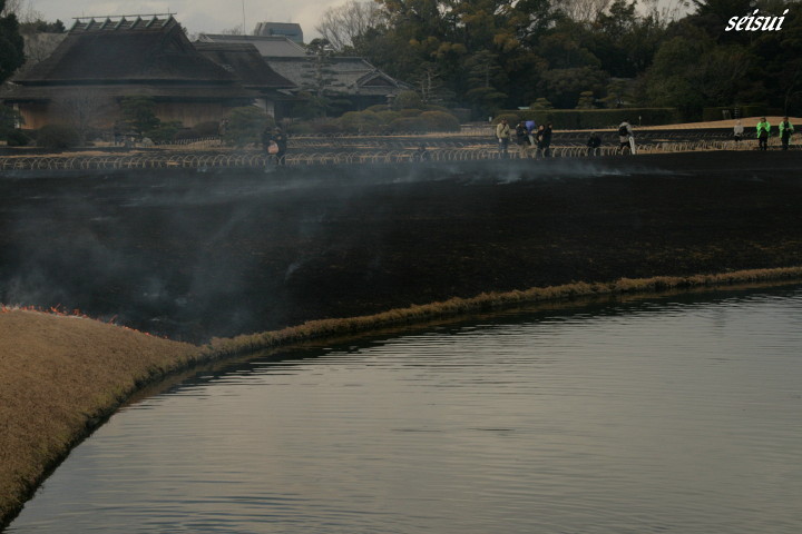 岡山後楽園　芝焼き。。。_c0126344_23373462.jpg