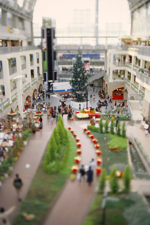 d0074844_16521570.jpg