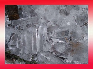 d0048350_20342912.jpg