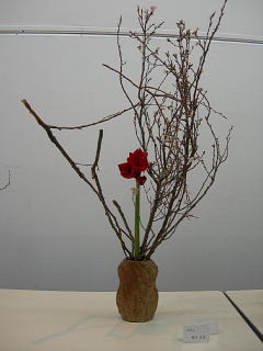 はな展_e0109554_20234018.jpg