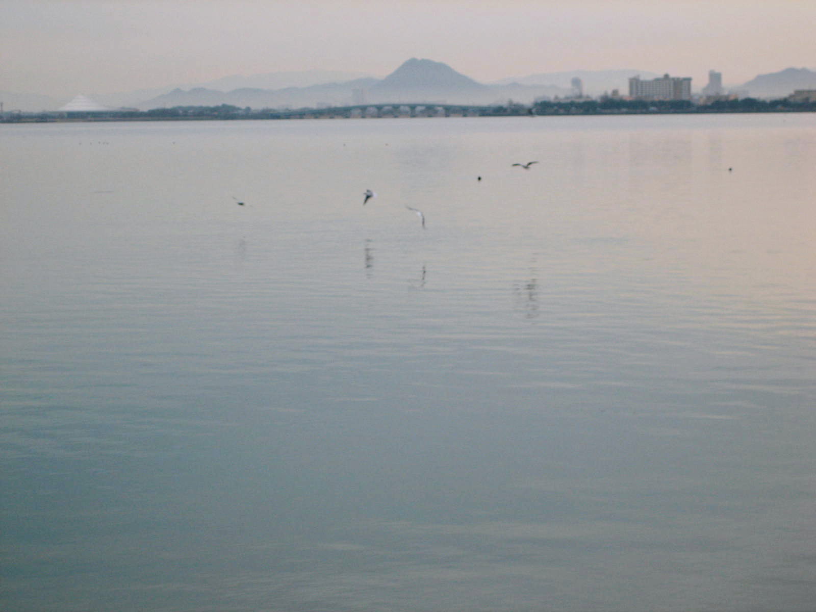 c0127358_13502169.jpg