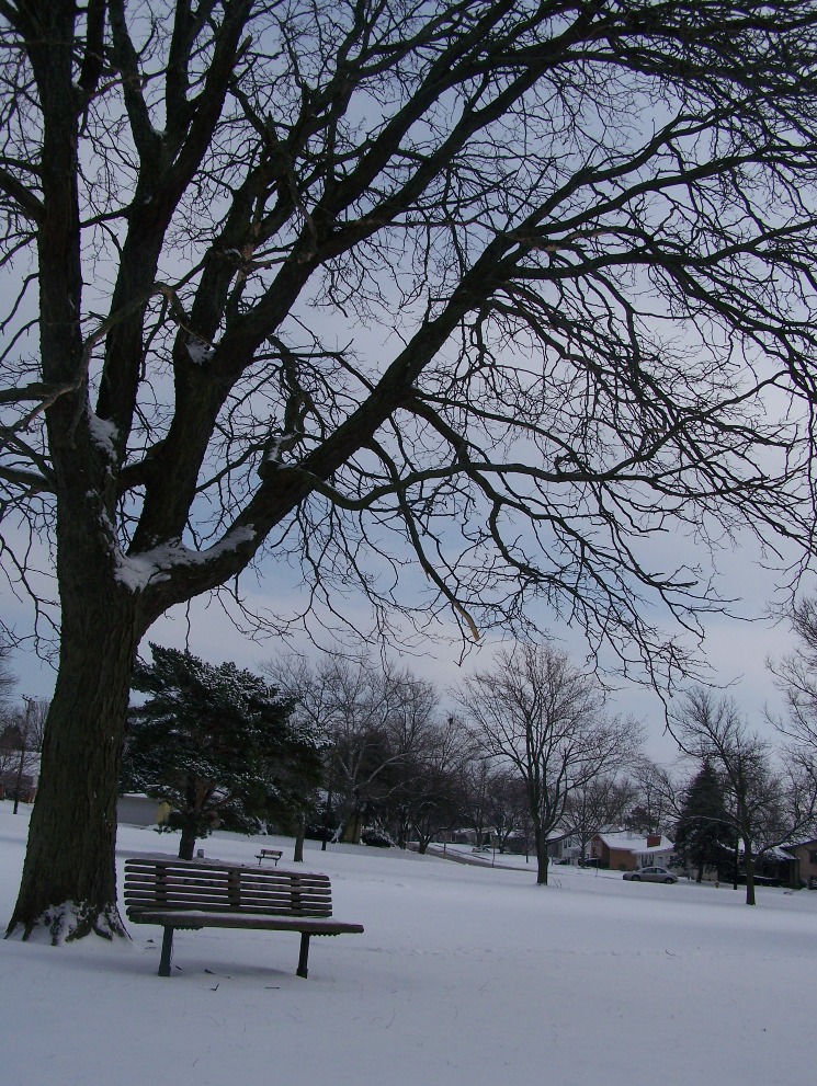 e0028272_4552844.jpg