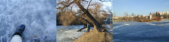 f0046982_9382868.jpg