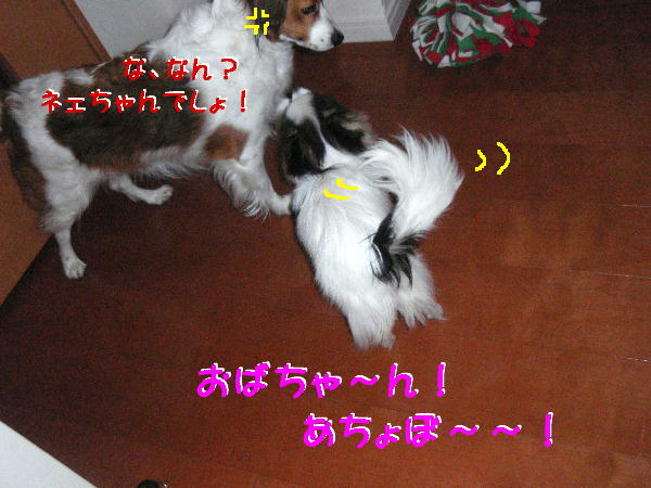 c0075585_02183.jpg