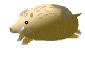 f0129585_21464783.gif