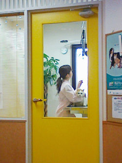 c0049489_21562229.jpg
