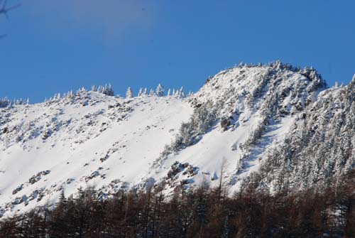 e0120896_7252614.jpg