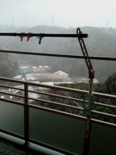 初雪です！横須賀_d0092901_7391076.jpg