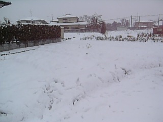 e0098908_21564048.jpg