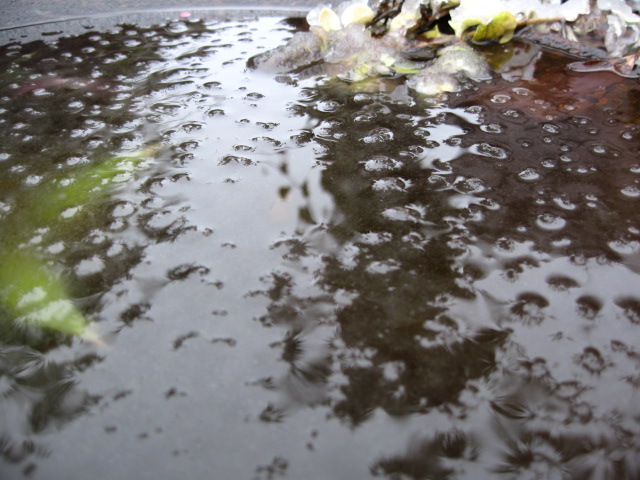 f0128316_8524843.jpg