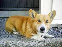 2月になりました。_b0080720_262141.jpg