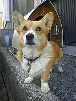 2月になりました。_b0080720_2653.jpg