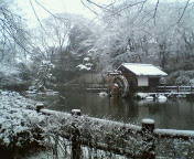 雪_e0011321_940953.jpg