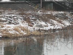 c0157523_1136777.jpg
