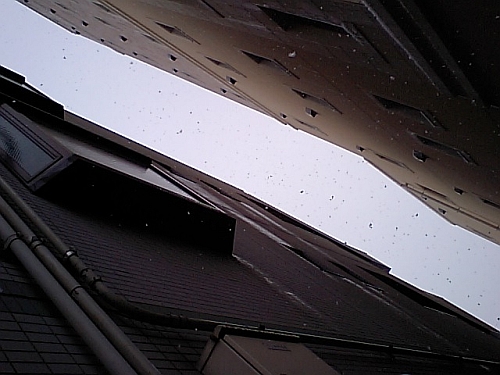 e0108126_1351517.jpg