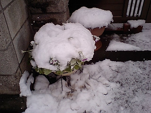 e0108126_13574563.jpg
