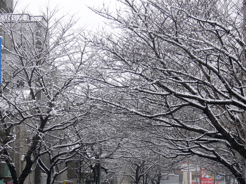 b0065730_20351859.jpg