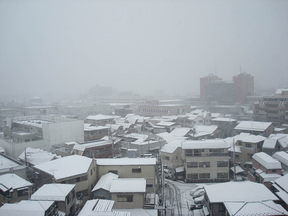 ０８年2月３日　雪だぁ～な・ら・ば（＾＾）_c0117831_1655055.jpg