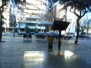 a0059032_2393858.jpg