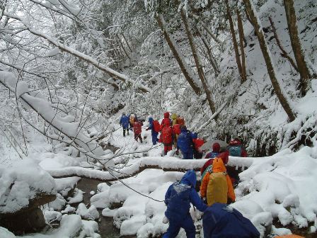 朝起きたら山の景色が変わっていた　　背振山系　９１１ｍ唐人の舞_c0077338_22201385.jpg