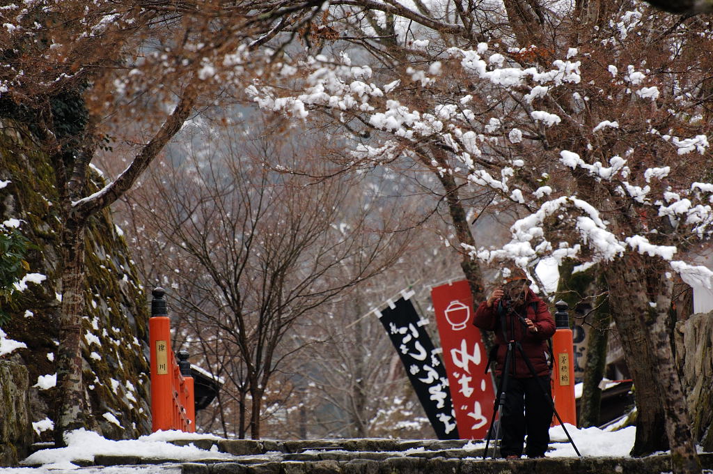 雪の京都（全てＤ２Ｘ）_d0148541_2205152.jpg