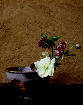 c0055343_2356791.jpg