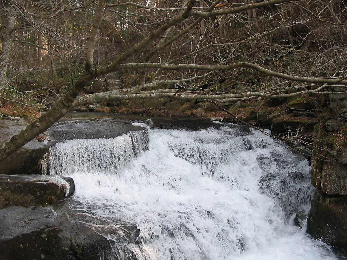 遠野遺産　土淵編　Ⅱ_d0001843_20344583.jpg