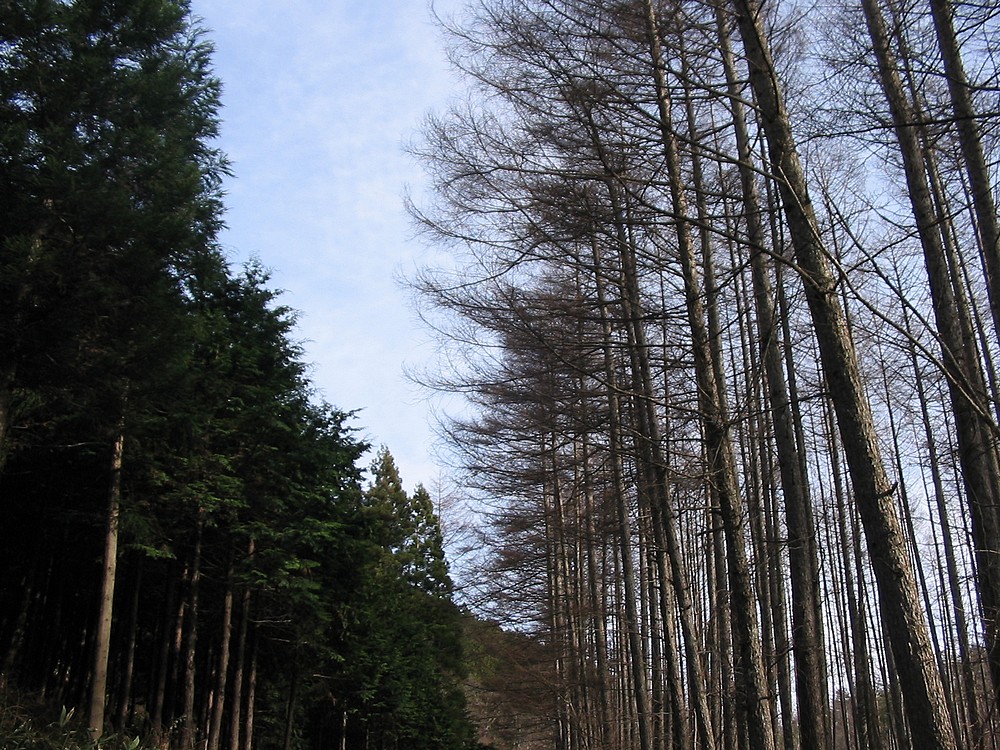 遠野遺産　土淵編　Ⅱ_d0001843_22343317.jpg