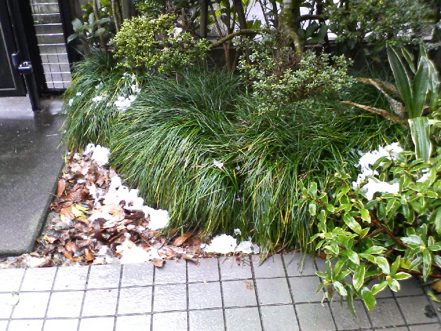 b0088444_23194883.jpg