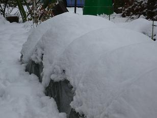 天気予報が当たった・節分は雪です_c0137444_16485147.jpg