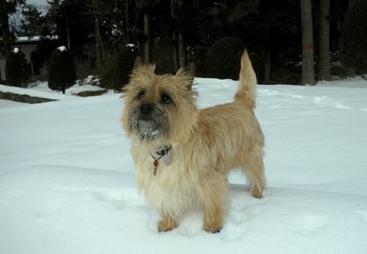 c0147548_21423854.gif