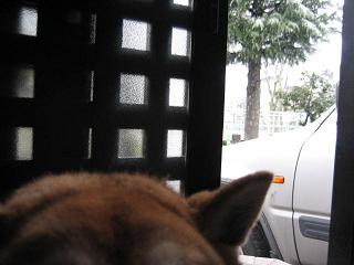 またまたお寒うございます。_c0049950_9194928.jpg