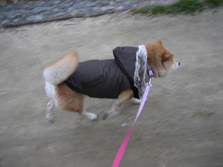 またまたお寒うございます。_c0049950_9372571.jpg