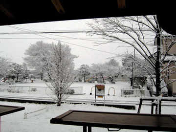 スノウランド_a0044064_10511450.jpg
