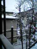 積雪_d0045065_1430179.jpg