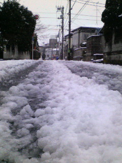 スノウだらけ_b0116271_14384360.jpg
