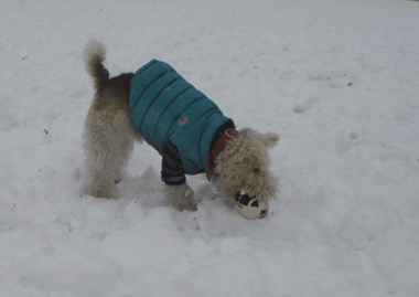 b0091373_22202825.gif