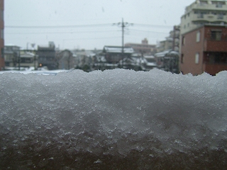 雪だぁ～_f0138281_14475453.jpg