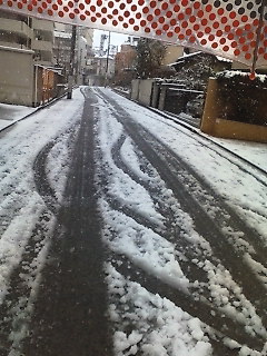 c0076383_1625290.jpg