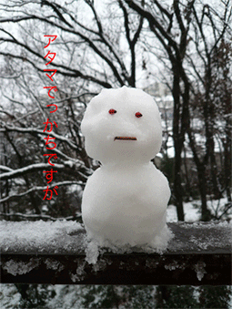 e0103686_12495533.gif
